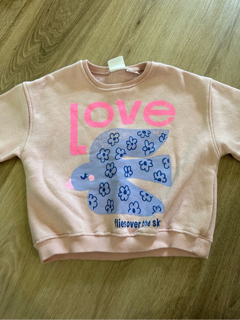 Zara Sweatshirt 3-4